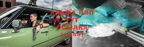 амф Медногорск