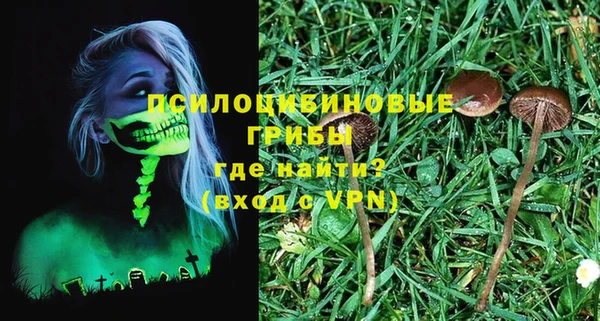 амф Медногорск