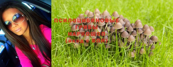мяу мяу мука Магадан