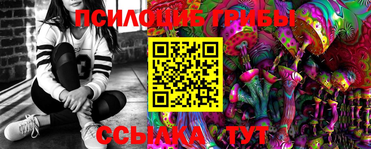 Галлюциногенные грибы Psilocybe  Вход с VPN  Рязань 