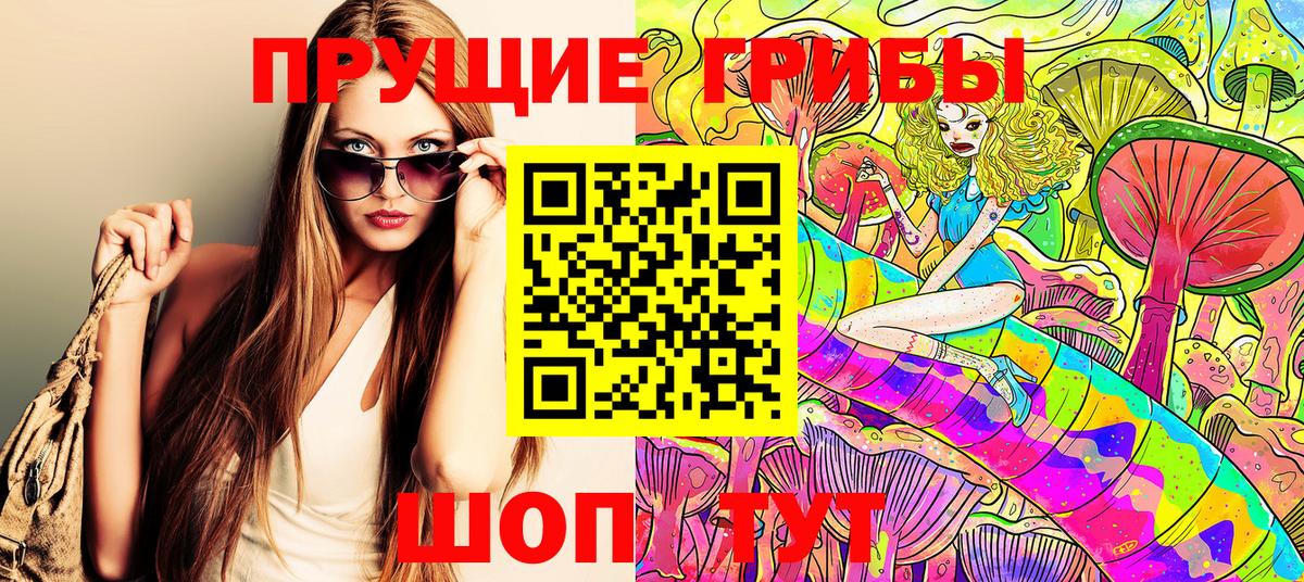 Псилоцибиновые грибы Psilocybe Рязань